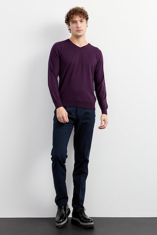 Erkek Basic V Yaka İnce Triko Kazak Mor Mor