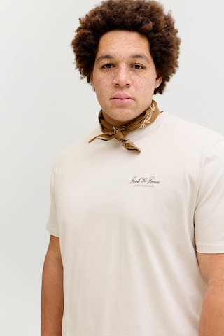 Jack & Jones Erkek T Shirt 12289683 Taş Taş