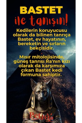 Petjoo 1.Bastet Kırmızı-Sarı Qr'lı Kedi Künyesi