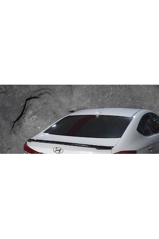 Hyundai Elentra 2016-2019 Boyalı Anatomik Spoiler