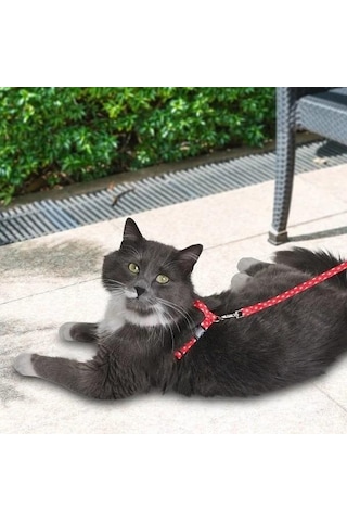 Pettagart Kırmızı Beyaz Yıldız Desenli Ayarlanabilir Kedi Göğüs Tasma Seti 10 Mm 110 Cm
