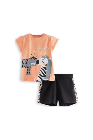Denokids Zebra Ve Leo Kız Çocuk T-shirt Şort Takım Renkli Çok Renkli