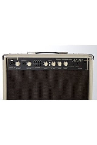 Cort Af30 Akustik Gitar Ve Saz Amfisi, 30w