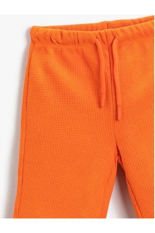 1ykb46222ok Reg2 Bayı Shorts Turuncu