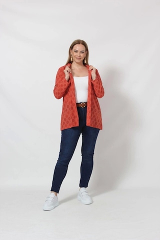 Moda Berray B029t Kapüşonlu Delikli Mevsimlik Ceket Tarçın Karışık Çok Renkli