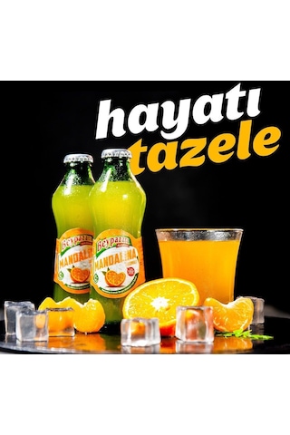 Beypazarı Mandalina Aromalı Maden Suyu 200 Ml X 24 Adet