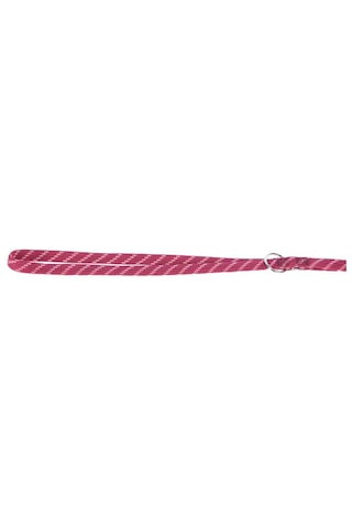 Kerbl Köpek Gezdirme Kayışı Colorado Fuşya 120 CM x 20 MM Fuşya