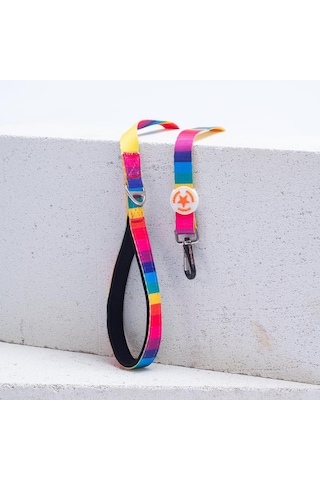 Rainbow Leash Gökkuşağı Desenli Kedi Köpek Sevk & Gezdirme Kayışı Köpek Uzatma Tasması Çok Renkli