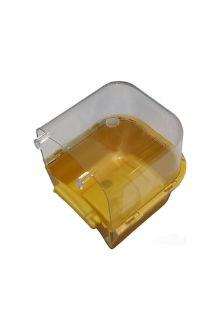 Kuş Banyoluğu Çok Renkli