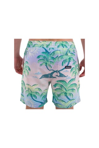 Hurley Hurley Cannonball 17 Erkek Volley Short 7699 Çok Renkli