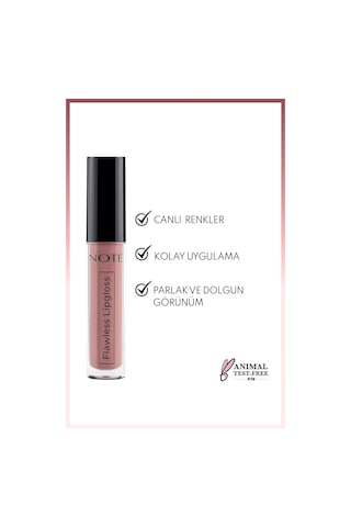 Note Cosmetique Flawless Lipgloss Nemlendirici Dudak Parlatıcısı - 03 Dried Rose - Pembe