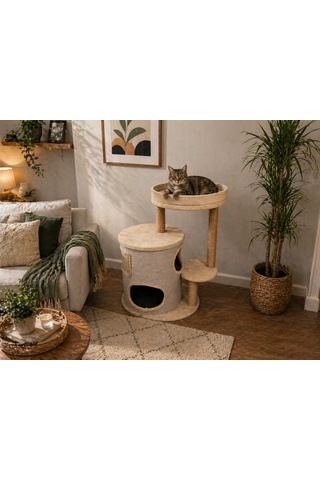 Zen Modern Kedi Evi Tırmalama Direkli Konforlu Kedi Yuvası