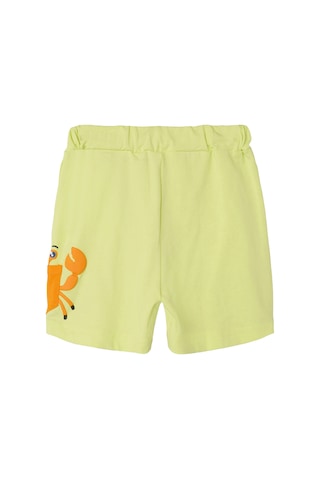 Name It Nmmzakko Nreg Shorts Box Yeşil Erkek Çocuk Şort Yeşil