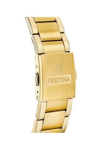 Festına F20633/3 Tımeless Chronograph Erkek Kol Saati Gri