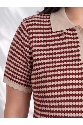 Lcw Curve Bordo Büyük Beden Polo Yaka Çizgili Kadın Triko Kazak