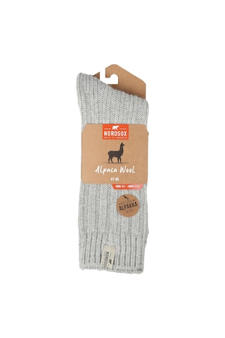 Bolero Nordsox E31 Erkek Alpaka Yün Soket Çorap 41-45 Açık Gri