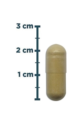 Natures Supreme Milk Thistle Complex 60 Kapsül Aromasiz