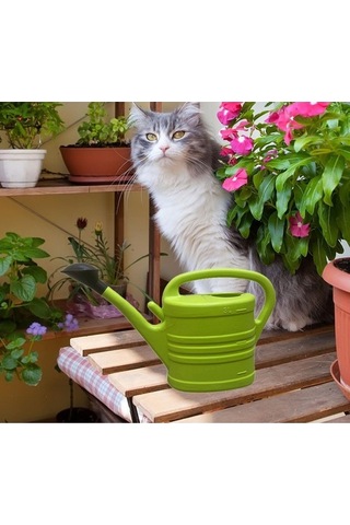 Pazly Yeşil-3l Uzun Tesisi Suntek Sulama Mekan Için Dış Ağız Gr