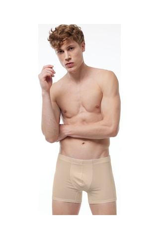 Malabadi Görünmez Boxer Erkek Ten Rengi Likralı Modal Iç Göstermeyen Boxer 058 Ten Rengi