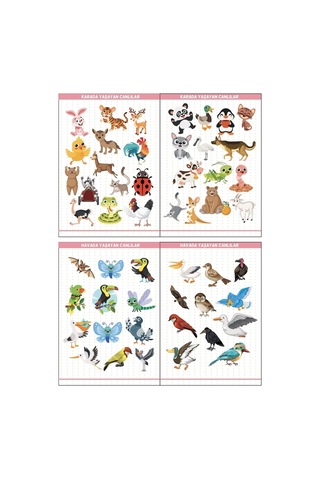 Eğitim Etiketleri Denizde, Havada, Karada Yaşayan Canlılar Figürler, 135 Adet Opak Sticker Renkli
