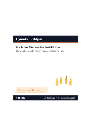 Trobus Altın Sarı Sivri Alüminyum Sibop Kapağı 4'lü 32 Mm