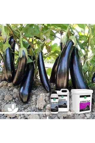 Genta Atrax Znp Orgamineral Gübre 20 Lt