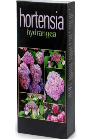 Hortensia Ortanca Besini 1 KG