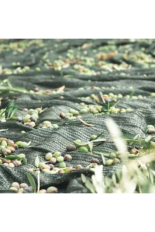 6 Mt. X 4 Mt. Zeytin Toplama Sergisi - 65gr. %75 Gölgelik File 1. Kalite / Dikişsiz
