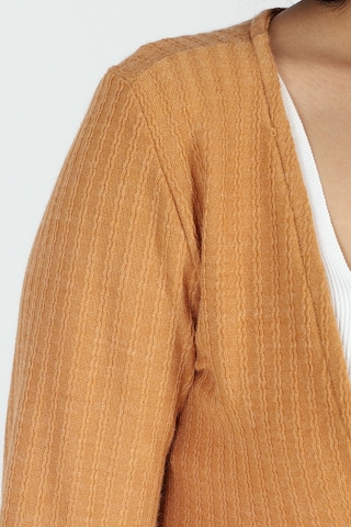 Armonika Kadın Camel V Yaka Yumuşak Dokulu Önü Bağlamalı Kolları Lastikli Triko Hırka Arm-26k001010