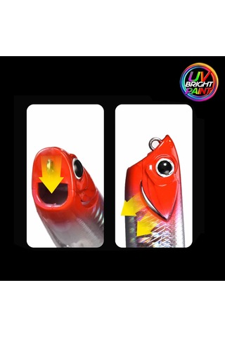 Eurofish Aragon Vatıs Popper 100mm 15gr Su Üstü Maket Balık