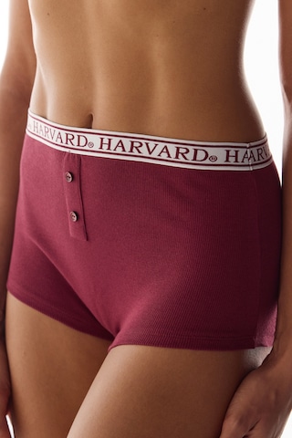 Penti Bordo Harvard Yüksek Bel Boyshort Külot