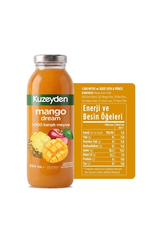 %100 Meyve Mango Dream 12x250ml