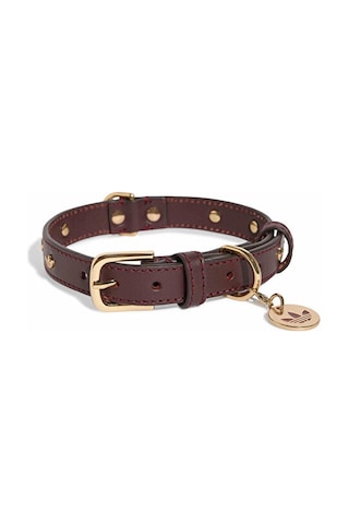 Adidas Pet Collar Tasma Ky8799 Kırmızı