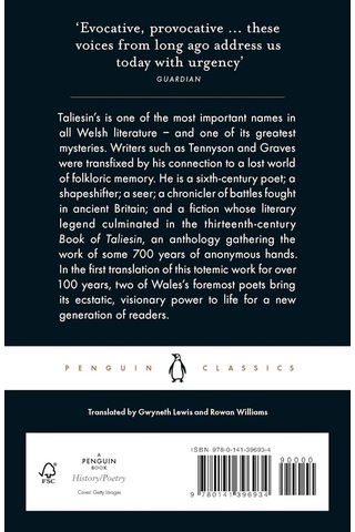 The Book Of Taliesin: Poems Of Warfare And Praise In An Enchanted Britain