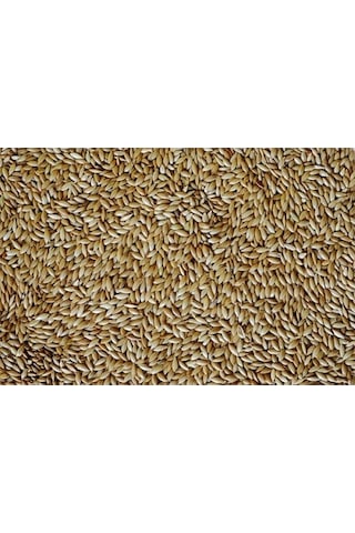 Kanarya Yemi 5 KG ( Sade )