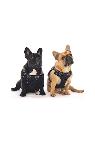 M-pets Hiking Reflektörlü Köpek Göğüs Tasması Turuncu Medium 40-75 Cm 244-58022.02 Renkli