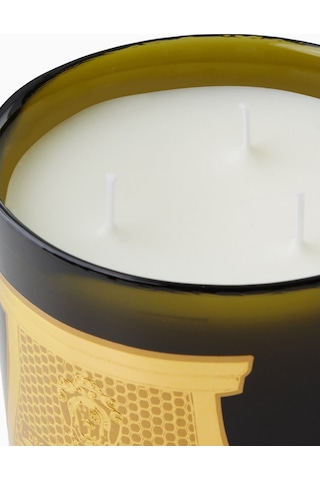 Trudon Abd El Kader Intermezzo Kokulu Bitkisel Mum 800 G Çok Renkli
