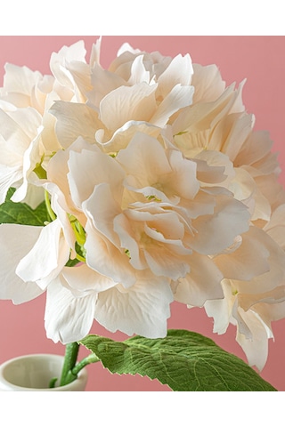 English Home Hortensia Tek Dal Yapay Çiçek Şampanya