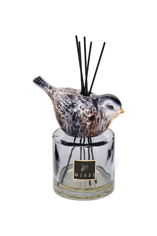 Kendi Kokunu Seç-bird Collection Siyah Cam Çubuklu Difüzör Esanssız Karışık