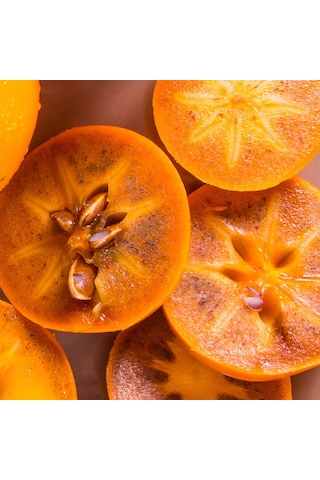 Çikolatalı Harbiye Hurma Fidanı 5 Adet Kakaolu