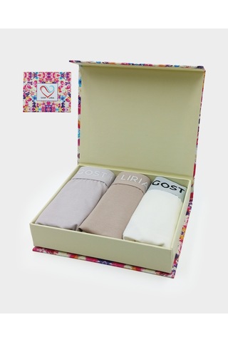 - Earth Core Kadın Slip 3 Lü Paket -çok Renkli Çok Renkli