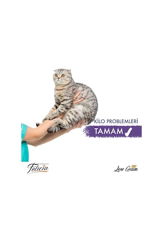 Az Tahıllı Sterilised Somonlu Kedi Maması 12 Kg