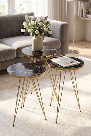 Northcity Zigon Sehpa Ve Orta Sehpa Elips Set Gold Bendir Tel Gold Çam