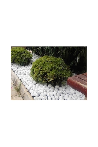 Ekodoğa Beyaz Dolomit Taş 1 Kg 2,5-4 Cmbahçe Süs Taşı Dekoratif Taş
