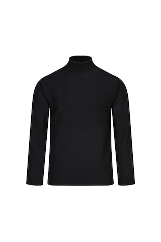 Hatemoğlu Siyah Regular Fit Yarım Balıkçı Yaka Yünlü Kazak 2982354 Siyah