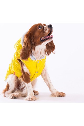 Pawstar Sarı Light Wave Anorak Yelek Köpek Yeleği