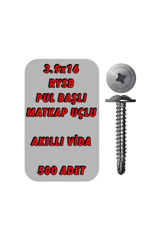 500 Adet 3.9X16 Rysb Matkap Uçlu Akıllı Vida Pul Başlı