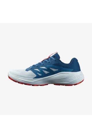 Salomon Alphaglıde Erkek Ayakkabısı L47724300 Çok Renkli