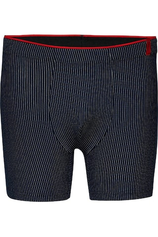 Weweus Siyah Lacivert Gri 3'lü Pamuk Elastan Çizgili Boxer 14923 Siyah - Lacivert - Gri