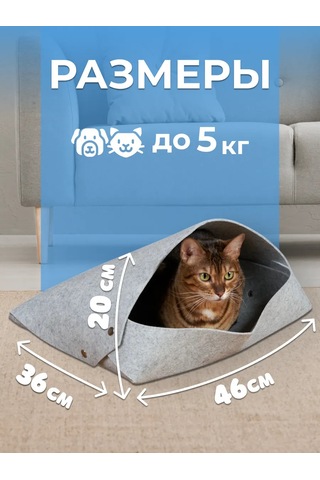 Eva Pets Yatağı Olan Kedi Ve Köpek İçin Ev 188538064